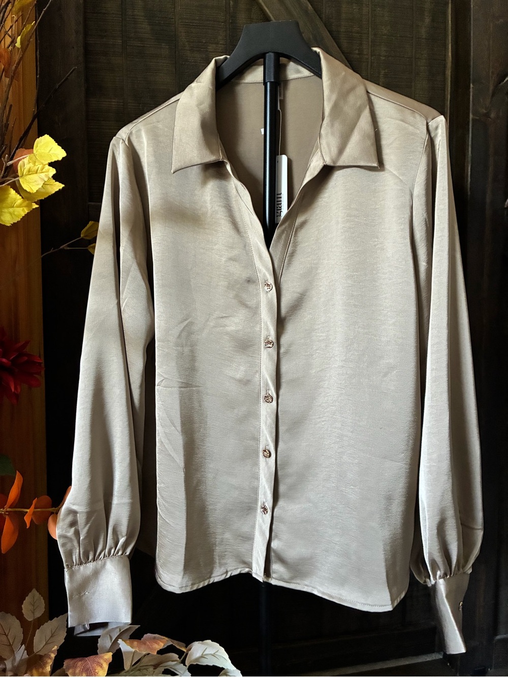 Classic Satin Long-Sleeve Button Front Blouse - Mocha